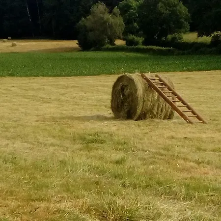 Les Chaumeix 度假居 *