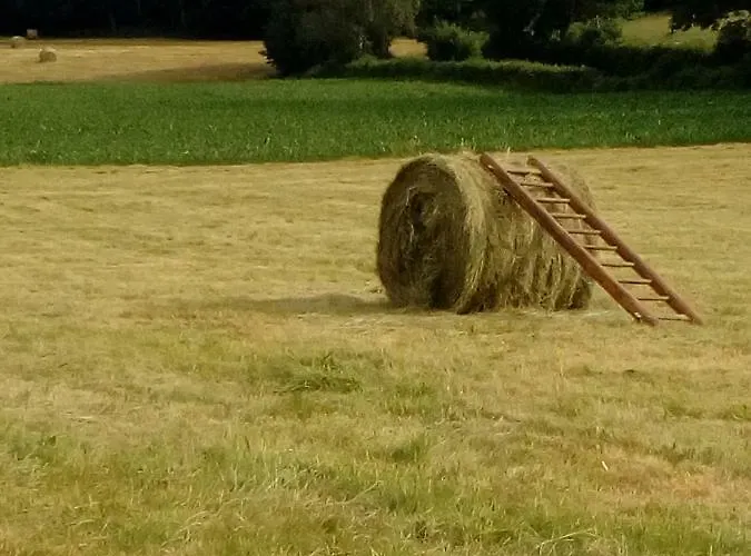 Les Chaumeix 度假居 *