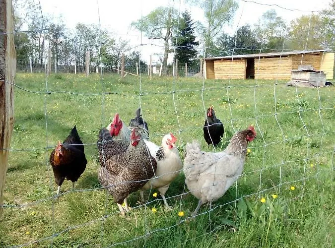 Les Chaumeix Holiday home